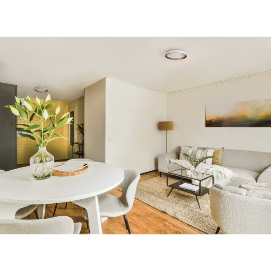 Kanlux SOLN LED 17,5W NW W/G 945lm 4000k mennyezeti lámpa 37328