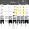 LED profil fedél  "C2" KLIKK ROLL ÁTLÁTSZÓ