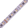   SL-RGBW-5050SMD-60WN S-LIGHTLED RGBW LED szalag 60LED/méter IP20 beltéri kivitel 24V