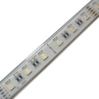   SL-RGBW-5050WS60 S-LIGHTLED RGBW LED szalag 60LED/méter IP68 vízálló kivitel 24V