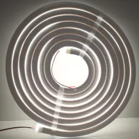 SL-2835WS120 S-LIGHTLED Neonflex Premium IP68 4000K 12V 
