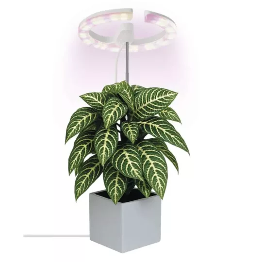 LED növénynevelő lámpa kör z7902