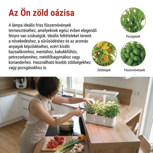 LED növénynevelő lámpa fűszernövényekhez z7904