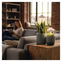 NÖVÉNYVILÁGÍTÓ LÁMPÁK